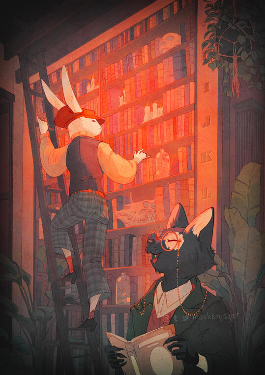 Library Library