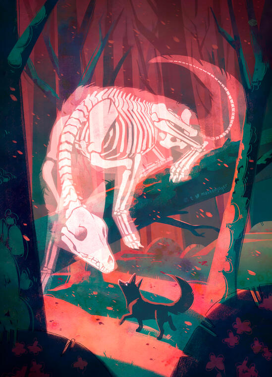 Forest Spirit Forest Spirit